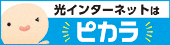 ピカラあわ光阿波市通信サービス提供事業者－光インターネット・光電話）