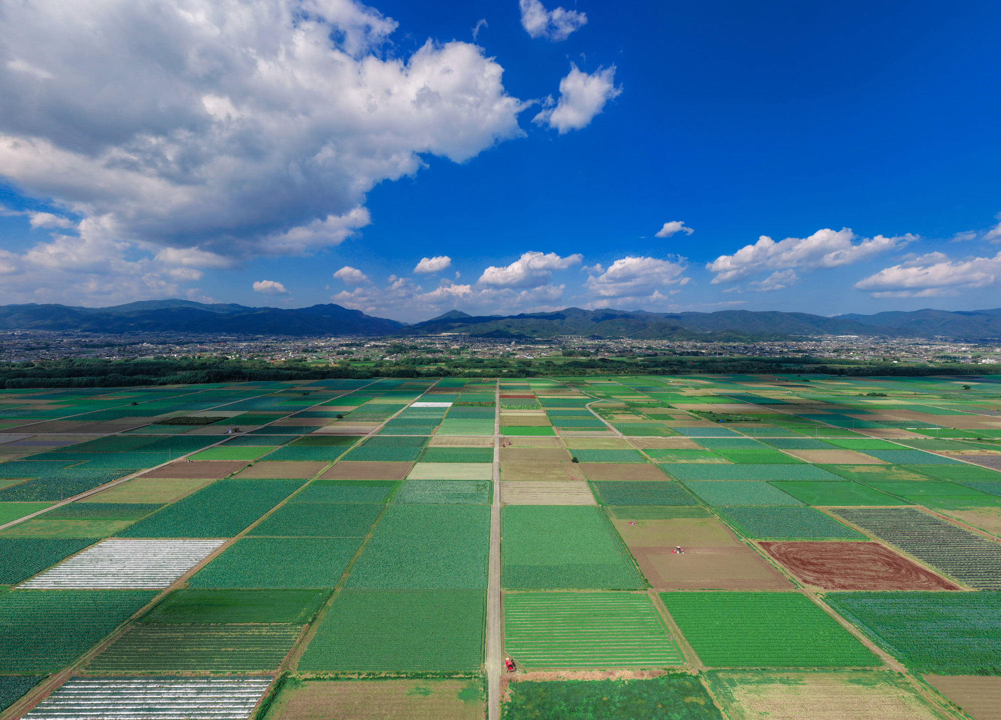 阿波市トップ画像