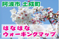 donari1