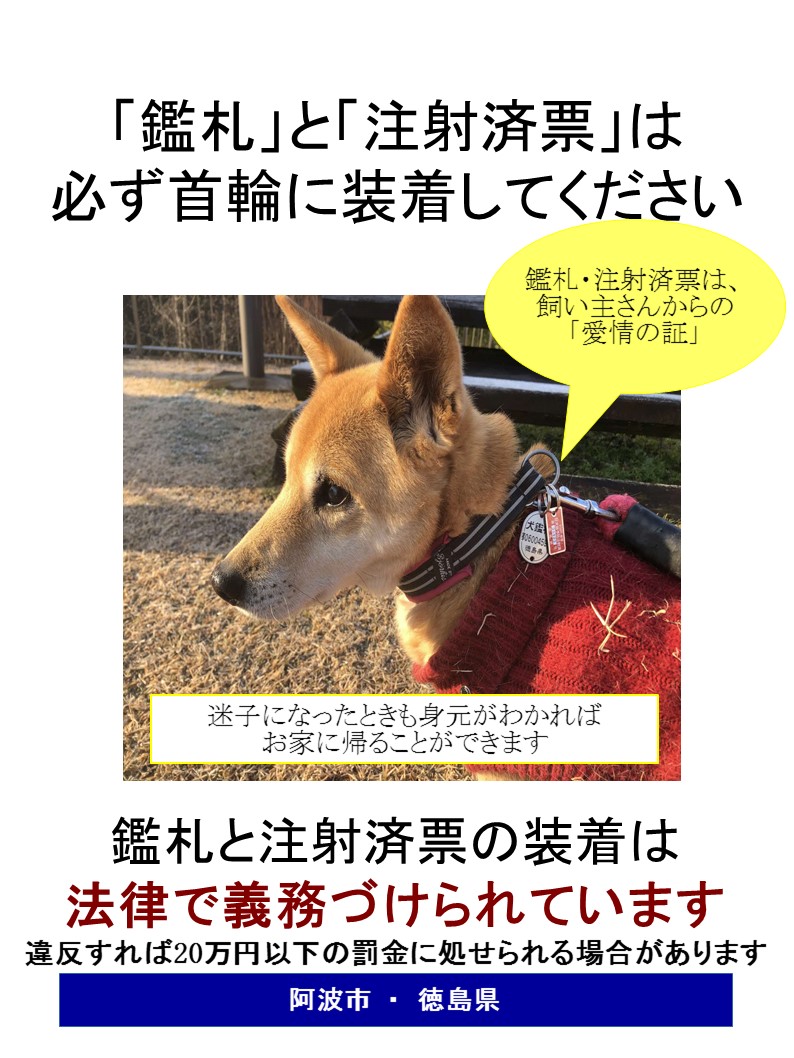市町村用:鑑札・済票ポスター1