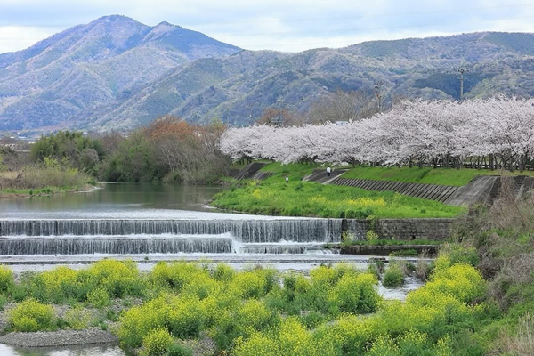 優秀賞５